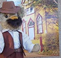 Stanley Bears - Accommodation Sunshine Coast