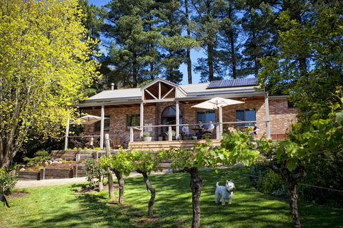 Main Ridge Estate - Accommodation Sunshine Coast 2