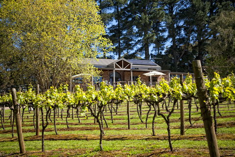 Main Ridge Estate - Accommodation Sunshine Coast 3