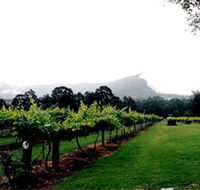 Cambewarra Estate Wines - Accommodation Sunshine Coast