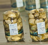 Broadwater Oysters