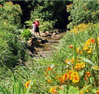 Bonaira Native Gardens - Accommodation Sunshine Coast