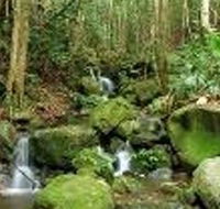 Budderoo National Park - Accommodation Sunshine Coast