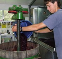 Fern Gully Winery - Accommodation Sunshine Coast