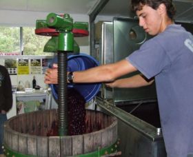 Fern Gully Winery - Accommodation Sunshine Coast 0