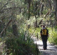 Barren Grounds Nature Reserve - Accommodation Sunshine Coast
