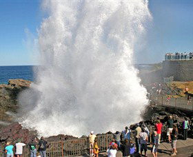 Kiama Blowhole - Accommodation Sunshine Coast 0