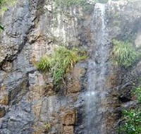 Wedding Bells Forest Drive - Accommodation Sunshine Coast