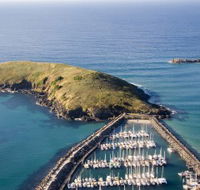Muttonbird Island Nature Reserve - Accommodation Sunshine Coast