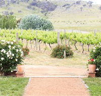 Brindabella Hills Winery - Accommodation Sunshine Coast