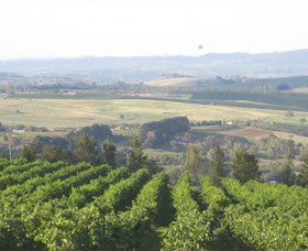 De Salis Wines - Accommodation Sunshine Coast 1