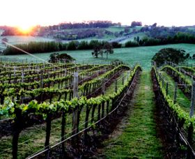 Philip Shaw Wines - Accommodation Sunshine Coast 1