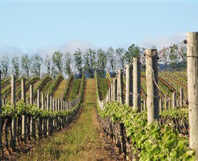 Philip Shaw Wines - Accommodation Sunshine Coast 0
