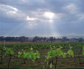 Thunder Ridge Wines - Accommodation Sunshine Coast 1