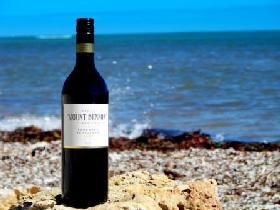 Wehl's Mount Benson Vineyards - Accommodation Sunshine Coast 2