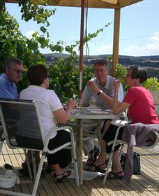 Zig Zag Rd Winery - Accommodation Sunshine Coast 2