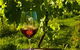 King River Estate - thumb 3