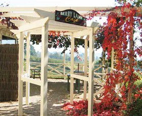 Blue Hills Berries & Cherries - Accommodation Sunshine Coast 1