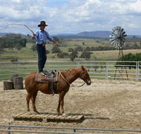 Boggy Creek Shows - Accommodation Sunshine Coast
