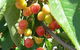 Mouat's Farm - thumb 1