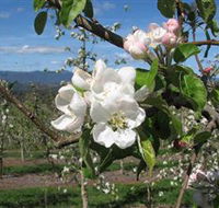 Mouat's Farm - Accommodation Sunshine Coast