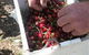 Mouat's Farm - thumb 3
