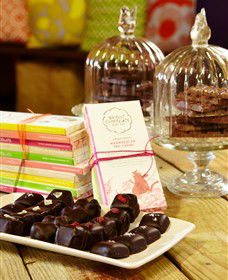 Bright Chocolate - Accommodation Sunshine Coast 4