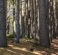 Sugarpine Walk - Accommodation Sunshine Coast
