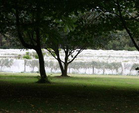 Staindl Wines - Accommodation Sunshine Coast 0