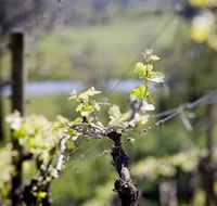 Merricks Estate - Accommodation Sunshine Coast