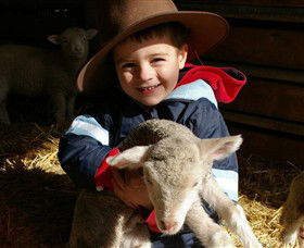 Warrook Farm - Accommodation Sunshine Coast 1