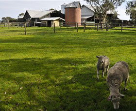 Warrook Farm - Accommodation Sunshine Coast 4