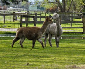 Warrook Farm - Accommodation Sunshine Coast 6