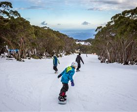 Baw Baw VIC Accommodation Sunshine Coast