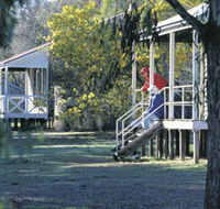 Dryandra Woodland - Accommodation Sunshine Coast
