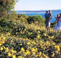 Joseph Banks Conservation Park - Accommodation Sunshine Coast