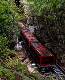Andersons Tours - Accommodation Sunshine Coast 1