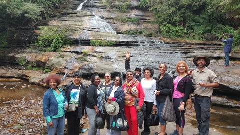 Dingo Travel - Accommodation Sunshine Coast 3