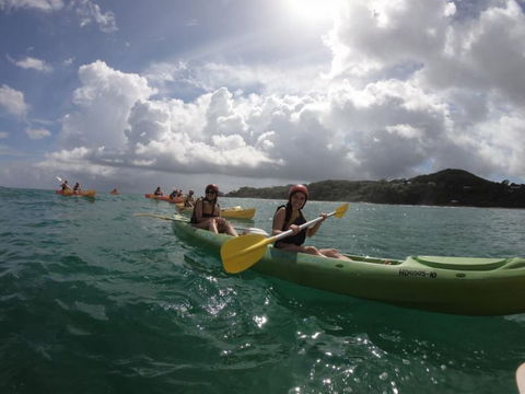 Cape Byron Kayaks - Accommodation Sunshine Coast 3