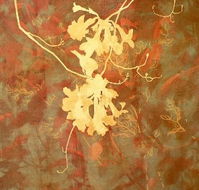 Fellia Melas Gallery - Accommodation Sunshine Coast
