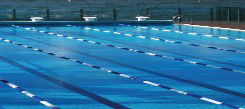 Andrew Boy Charlton Pool - Accommodation Sunshine Coast 1