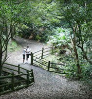 Blackbutt Reserve - Accommodation Sunshine Coast 3