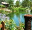 Gone Walkabout Safaris - Accommodation Sunshine Coast