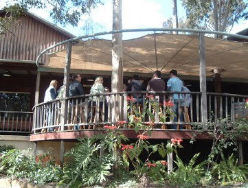 Hunter Vineyard Tours - Accommodation Sunshine Coast 0