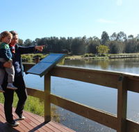 Hunter Wetlands Centre Australia - Accommodation Sunshine Coast