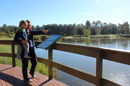 Hunter Wetlands Centre Australia - Accommodation Sunshine Coast 0