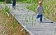 Hunter Wetlands Centre Australia - thumb 1