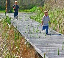 Hunter Wetlands Centre Australia - Accommodation Sunshine Coast 1