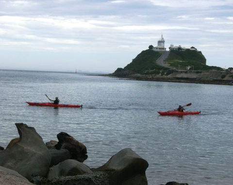 Newcastle Kayak Tours - Accommodation Sunshine Coast 0