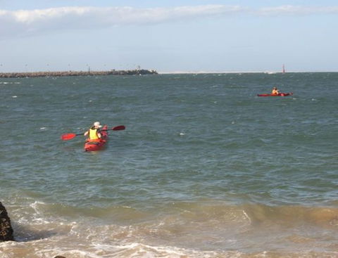 Newcastle Kayak Tours - Accommodation Sunshine Coast 1